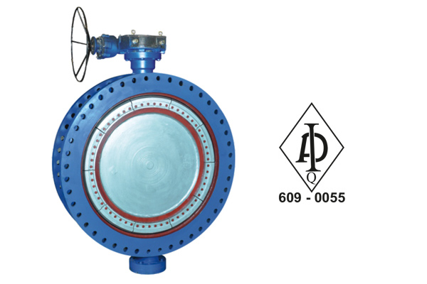 Lined Butterfly Valves Manufacturer